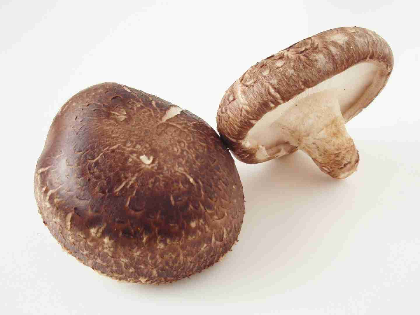 Shiitake
