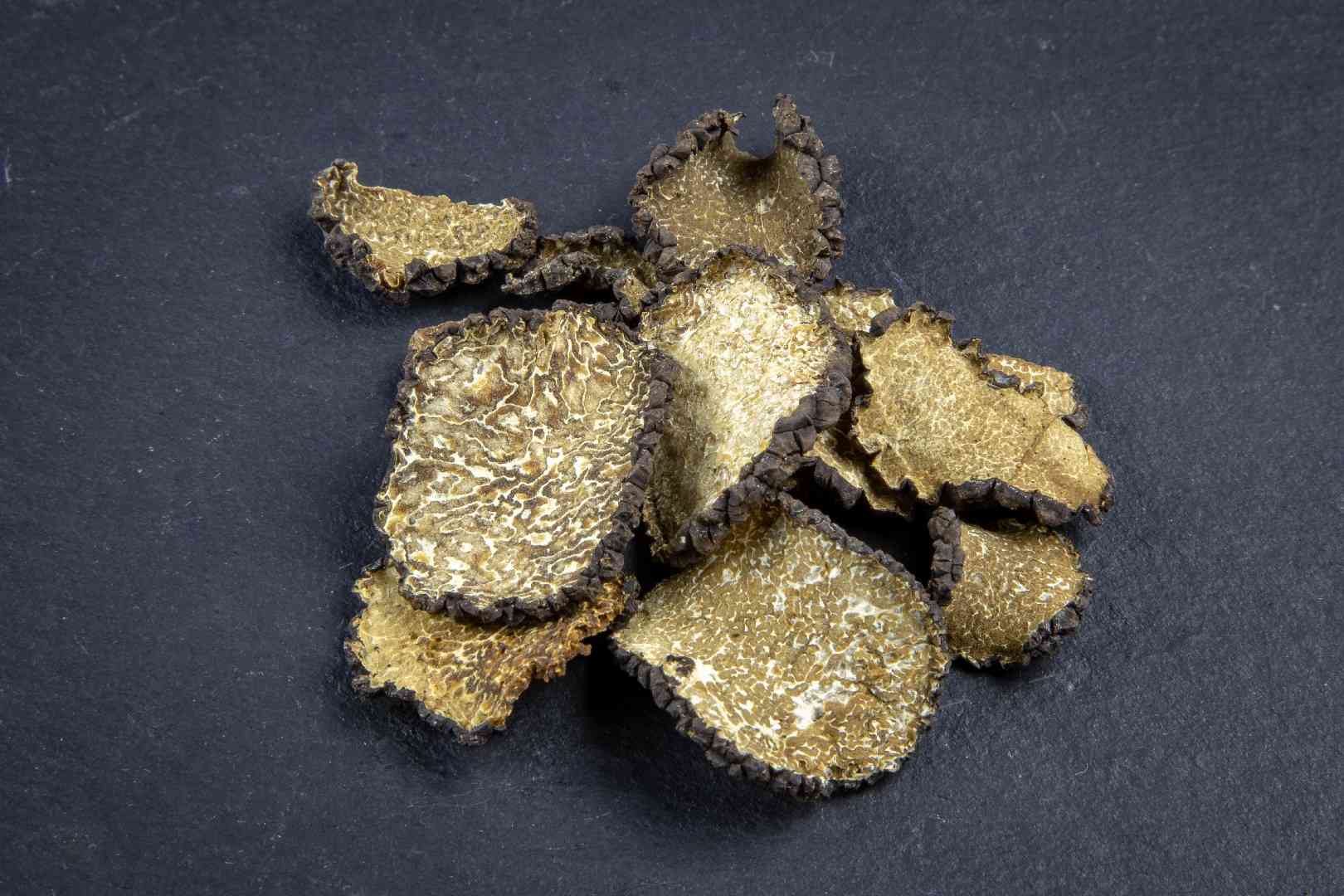 Summer truffle