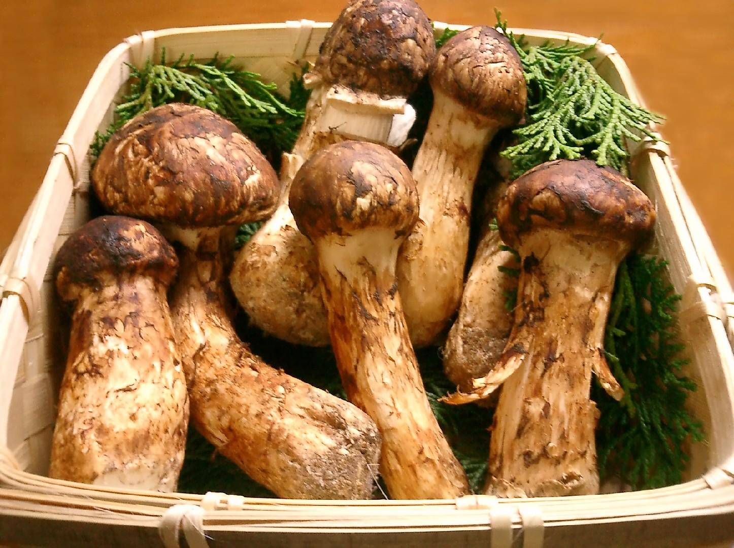 Matsutake thumbnail 3