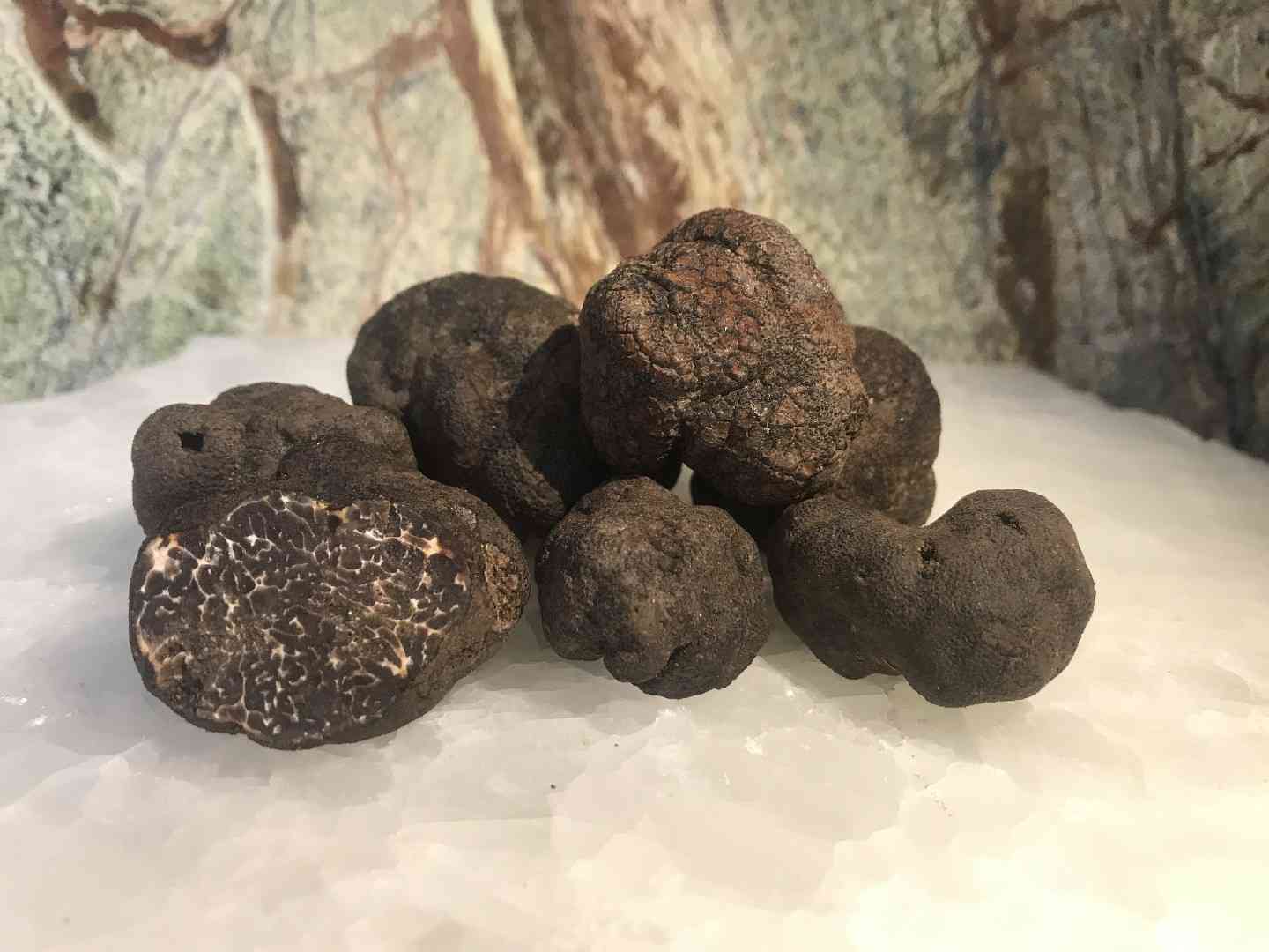 Black truffle (Tuber melanosporum) thumbnail 1