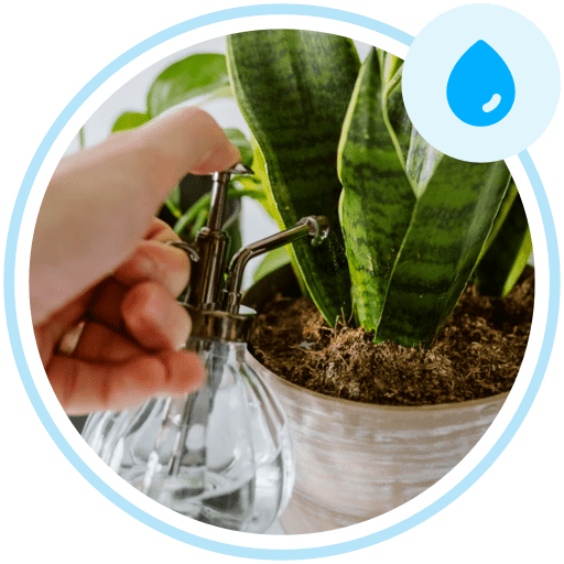 Get full care tips and tricks for your plants