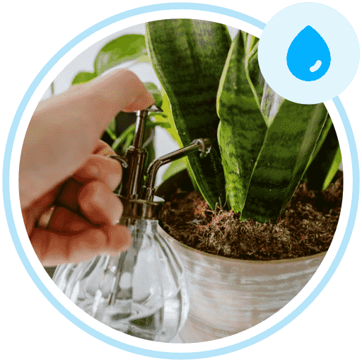 Get full care tips and tricks for your plants