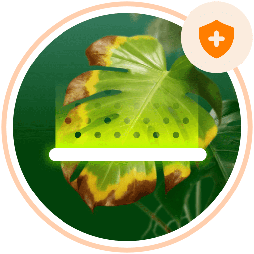 Plant disease auto-diagnose & prevention