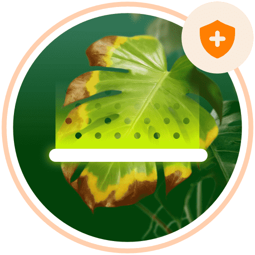 Plant disease auto-diagnose & prevention