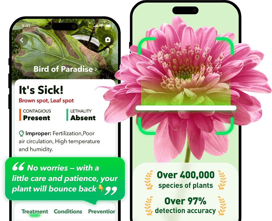 plantJoy App Screenshots