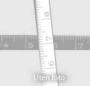 Adenophora potaninii(Adenophora potaninii)