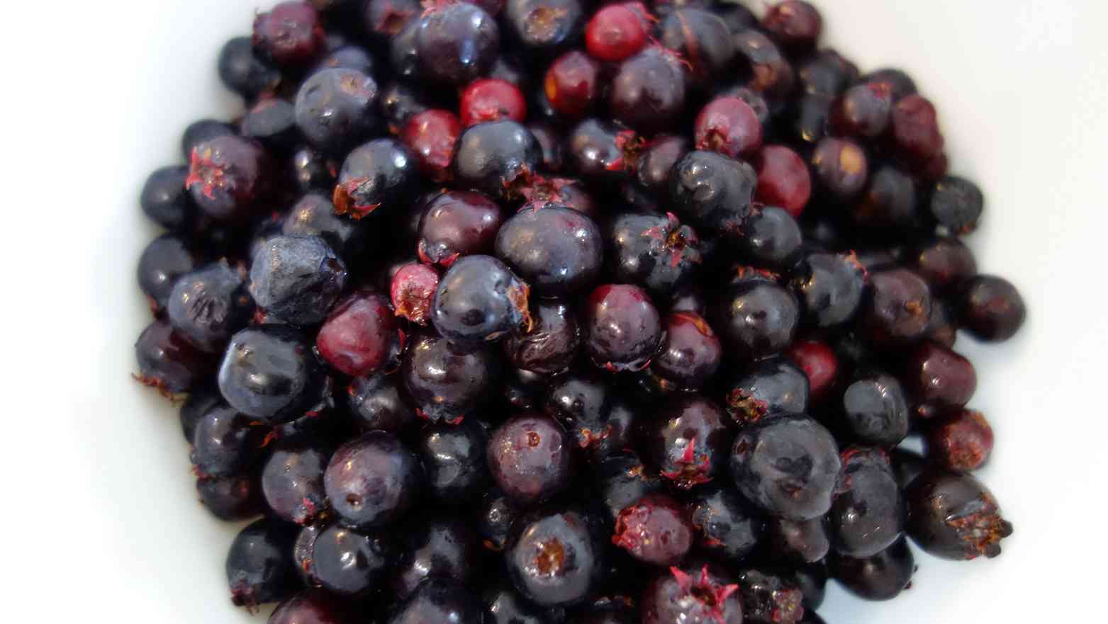 Western serviceberry