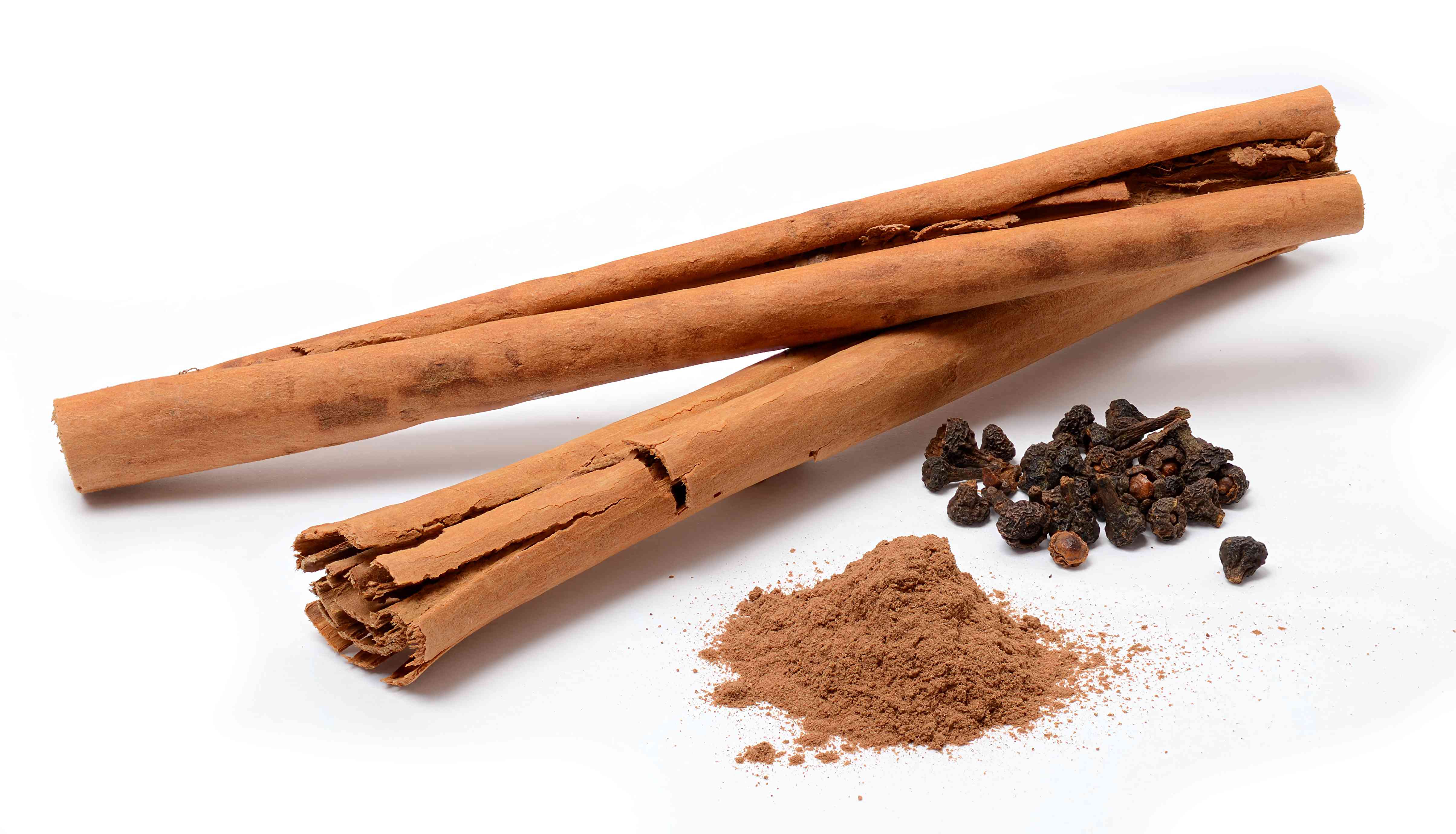 True cinnamon tree