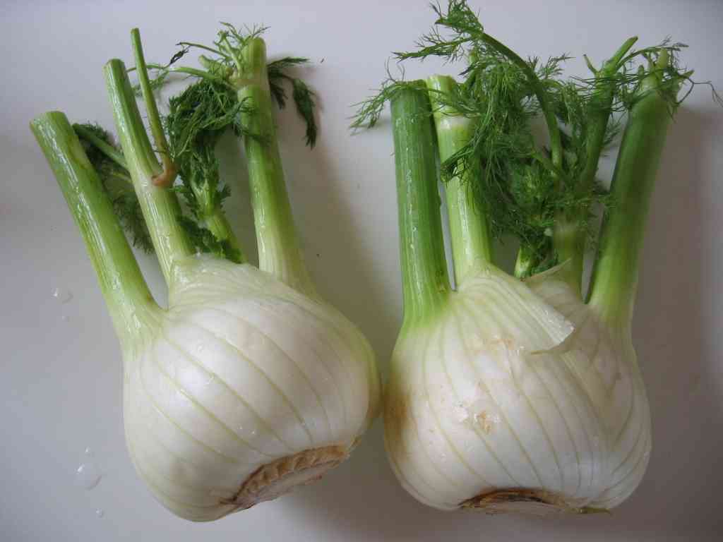 Sweet fennel