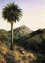 Chilean wine palm