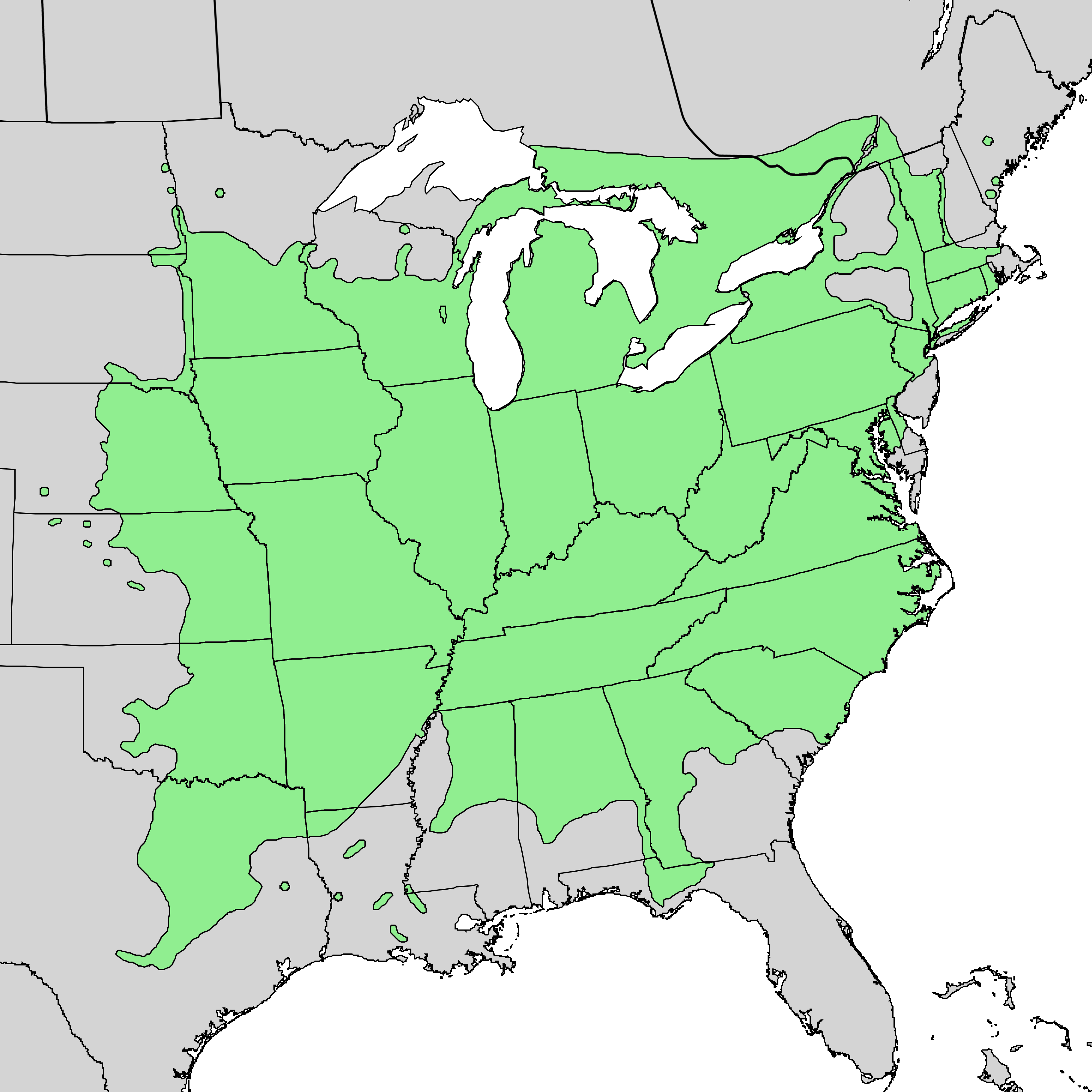 Slippery elm